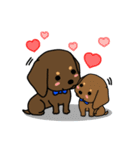 Life of the dachshund（個別スタンプ：39）