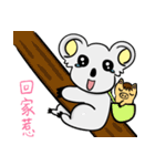 Koala meets Pig ！！（個別スタンプ：24）