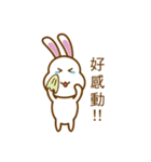 White Mochi Rabbit（個別スタンプ：39）