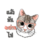Encouragement wording with animal faces（個別スタンプ：8）