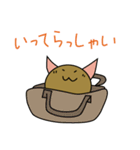 ねこのシロメ（個別スタンプ：24）