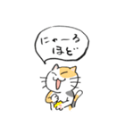 ざぎんねこ【シンプル】（個別スタンプ：5）