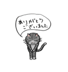 ざぎんねこ【シンプル】（個別スタンプ：6）