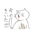 でぶねこ(稀に海鮮)スタンプ（個別スタンプ：12）