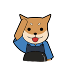 Kendo Shiba Inu - KENTA（個別スタンプ：21）