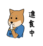 Kendo Shiba Inu - KENTA（個別スタンプ：34）