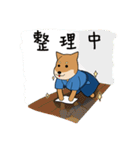 Kendo Shiba Inu - KENTA（個別スタンプ：35）