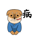 Kendo Shiba Inu - KENTA（個別スタンプ：38）