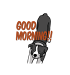 Border Collie Daily（個別スタンプ：4）