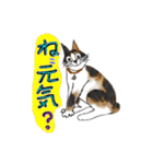 猫のBIbiと楽しい仲間たち（個別スタンプ：16）