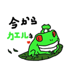 Frog of date and time（個別スタンプ：6）