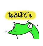 Frog of date and time（個別スタンプ：40）