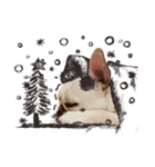 French Bulldog-Puni（個別スタンプ：16）