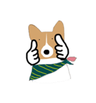 Corgi lolo（個別スタンプ：1）