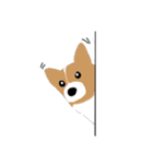 Corgi lolo（個別スタンプ：2）