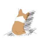 Corgi lolo（個別スタンプ：4）