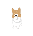 Corgi lolo（個別スタンプ：6）