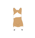 Corgi lolo（個別スタンプ：7）