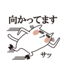 きら目キャット『日常編』（個別スタンプ：14）