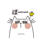 きら目キャット『日常編』（個別スタンプ：34）