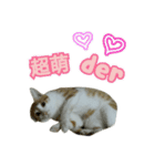 lucky cat cute for you（個別スタンプ：6）