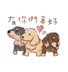 happy dachshund（個別スタンプ：8）