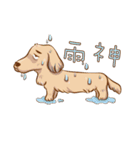 happy dachshund（個別スタンプ：10）