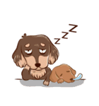 happy dachshund（個別スタンプ：12）