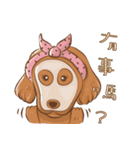 happy dachshund（個別スタンプ：14）