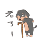 happy dachshund（個別スタンプ：16）