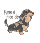 happy dachshund（個別スタンプ：23）