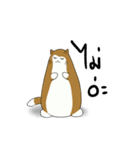 Fatty Crazy Cat（個別スタンプ：23）