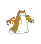 Fatty Crazy Cat（個別スタンプ：34）