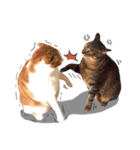 2+1 cats life（個別スタンプ：13）