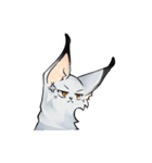 Lynxes Canada Lynx（個別スタンプ：3）