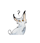 Lynxes Canada Lynx（個別スタンプ：35）
