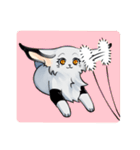 Lynxes Canada Lynx（個別スタンプ：39）