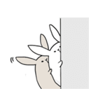 ポッチャリーナ（個別スタンプ：31）