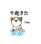 使いやすい！ ゆるうざどうぶつ丸（個別スタンプ：23）