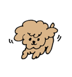犬のもこちゃん（個別スタンプ：1）