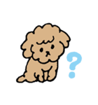 犬のもこちゃん（個別スタンプ：2）