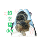 Real CAT.Chinese4（個別スタンプ：6）