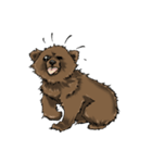 面白い小熊（個別スタンプ：2）