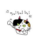 みけにゃん♡（個別スタンプ：13）