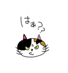 みけにゃん♡（個別スタンプ：17）