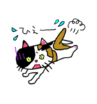 みけにゃん♡（個別スタンプ：20）