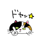みけにゃん♡（個別スタンプ：23）