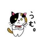 みけにゃん♡（個別スタンプ：39）