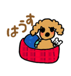 トイプのおとちゃんのスタンプ（個別スタンプ：11）