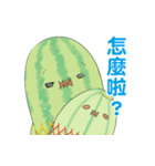 watermelon mama（個別スタンプ：34）